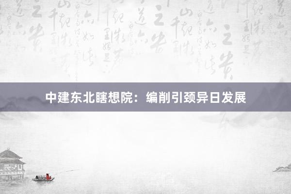 中建东北瞎想院：编削引颈异日发展